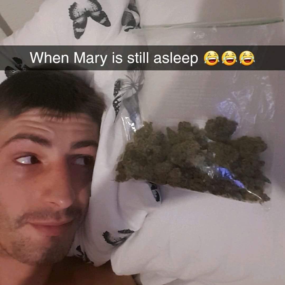 Samuelashwort10's profile picture. Just here to stream some apex on ps4.. PSN funnywound209