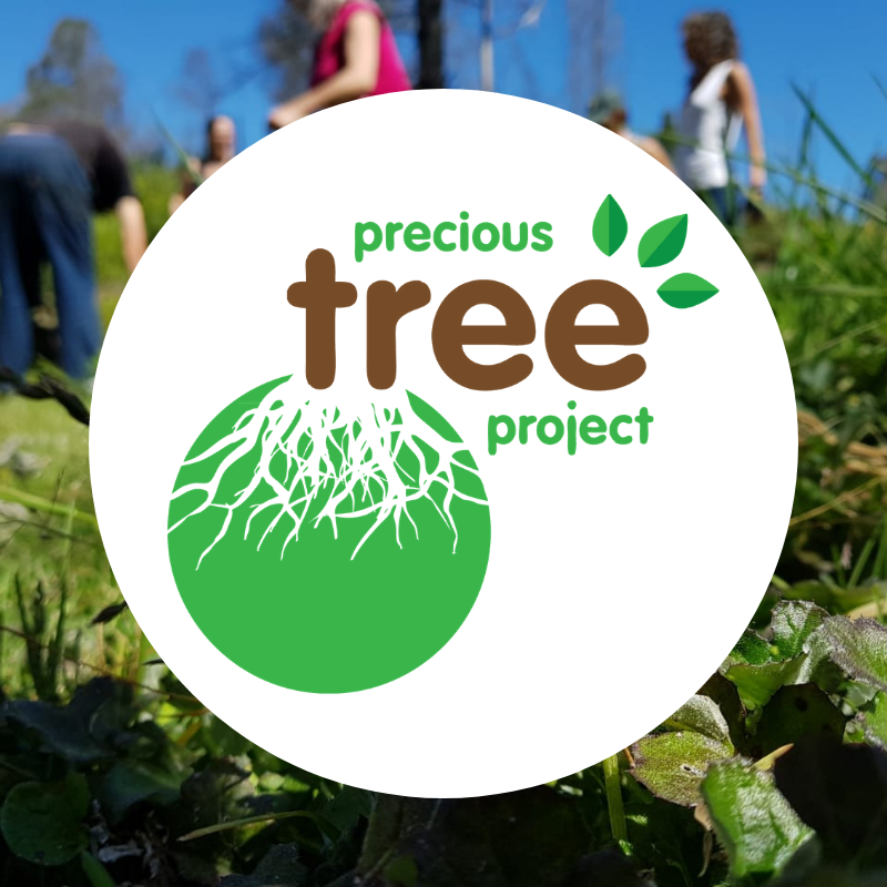 Precious Tree Project NPO