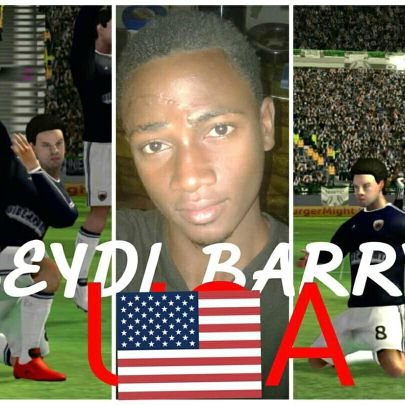 BarryOusmaneSe1's profile picture. Homme d'affaires