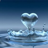 AneCSF (@anecsf) 's Twitter Profile