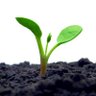 StartupNScaleup's profile picture. Social digital+technology daily. This channel share insights and learning materials about technology and strategy for #Startup and/or #Scaleup.