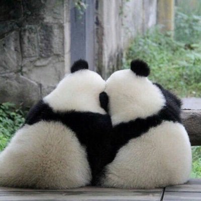 LauraAtenea's profile picture. Curioseando, por ahora.....descubriendo nuevos mundos...........