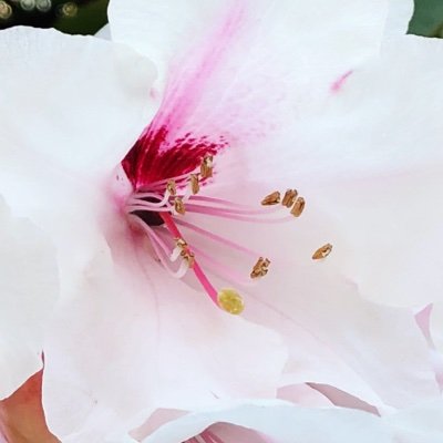 CeramicsSparkle's profile picture. Ceramic artist, jewellery design, art prints