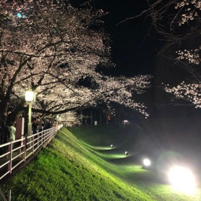 tukuannzu's profile picture. 特撮好きで、特に好きなのはウルトラシリーズです！ドッカンバトルやってます！