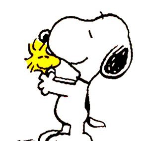 Kaza80047194's profile picture. 金沢