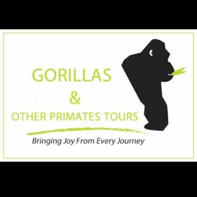 We are Proffessionals  in organising Gorillas and other Primates Tours in Uganda , Rwanda and Kenya