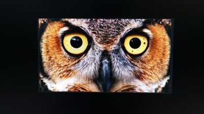 namorama1's profile picture. I'm all eyes