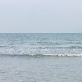 lilililiko's profile picture. 