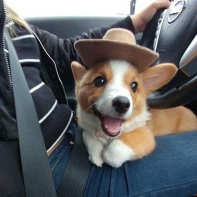 frannybobannyy's profile picture. yeehaw