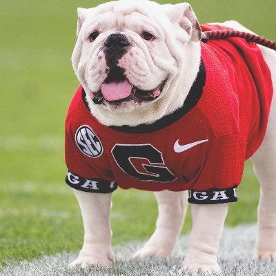 JasonWoodruff11's profile picture. 