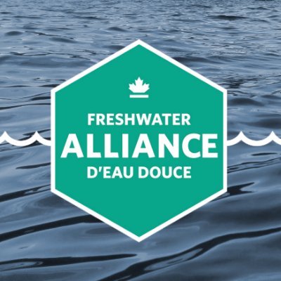 We build, unite and activate networks of freshwater champions to work for a future where all our waters are healthy and safe. A project on @makewaytogether.
