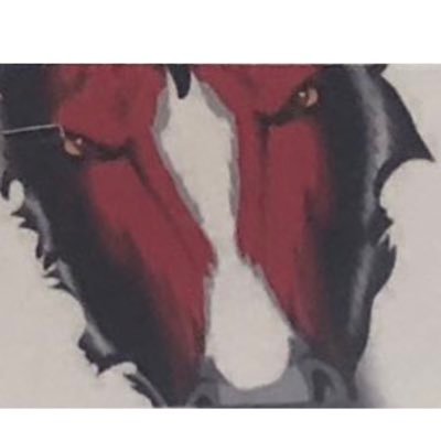 OHSLadyBronchos's profile picture. Official account for Girls Athletics