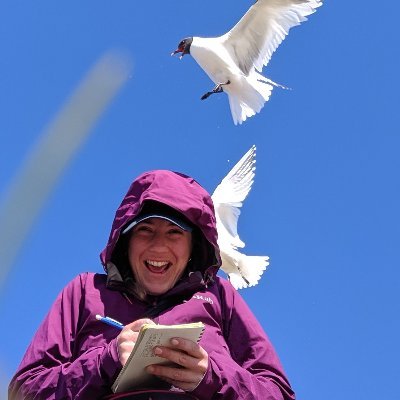 Migratory birds - Arctic ecology - Biogeography - Climate Change - PhD student at Carleton University