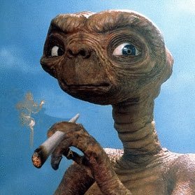 fackosvq's profile picture. 