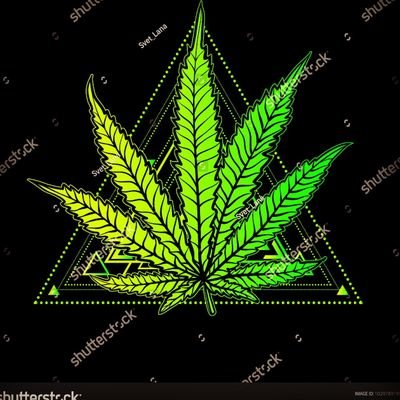 Cannabis and Tech Penny Stock Trader