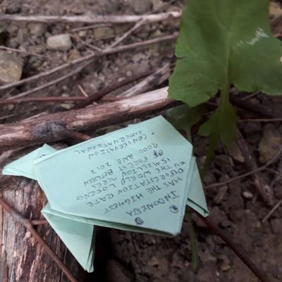 Protecting The Rainforests One Leap At A Time
Instagram: @ FollowTheFrogWakefield
An @NCS team run campaign