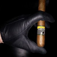 LthrGlovedMaster (@lthrglvdmaster) 's Twitter Profile