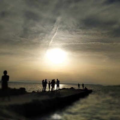 feltingwool's profile picture. Olga- artist disagner