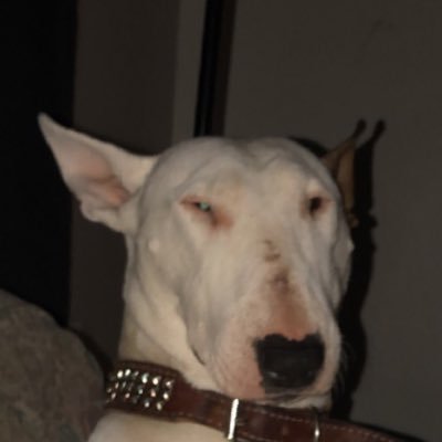 Ietsargue's profile picture. 