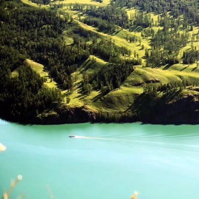 JingjingHa615's profile picture. 认清现实，丢掉幻想。