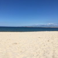 LittleCornishWriter-TracyCurran (@writercornish) 's Twitter Profile Photo LittleCornishWriter-TracyCurran (@writercornish) 's Twitter Profile Photo