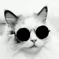 Marek (@wladek_z) 's Twitter Profile Photo Marek (@wladek_z) 's Twitter Profile Photo