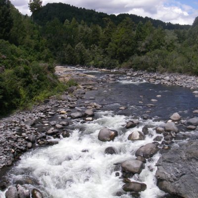 Te Wai Māori - NZ Freshwater Sciences Society Rōpū Māori. A network of Māori scientists, researchers & students. Tweets by @DrRotokakahi RTs not endorsements