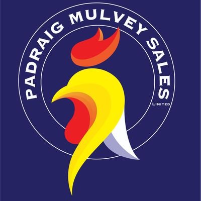 mulveyp2's profile picture. Work at Padraig Mulvey Sales Ltd