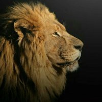 bbb (@dysd23) 's Twitter Profile