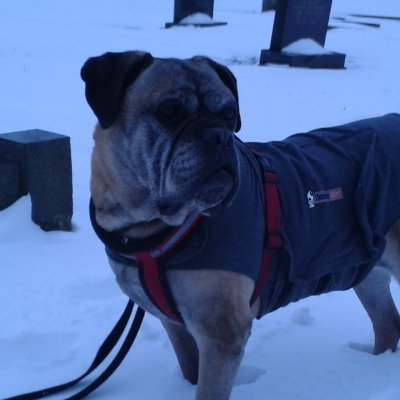 Charlot26496551's profile picture. Freshly-qualified ECT! Loving EYFS. Christian, human being, life-explorer. Life is better lived together.