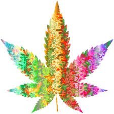 FlowerPowerRxOK's profile picture. Family farm providing the highest quality medical flowers. 

Our family is LIVING with cancer, with the help of Full Extract Cannabis Oil - FECO aka RSO
