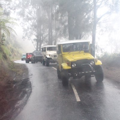 WISATA DOMESTIK, INTERNASIONAL, UMROH dan HAJI KHUSUS...