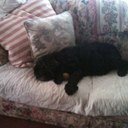 Robert Craker - @Maggot129 - Twitter