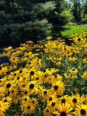 Parkside_RLSD's profile picture. 