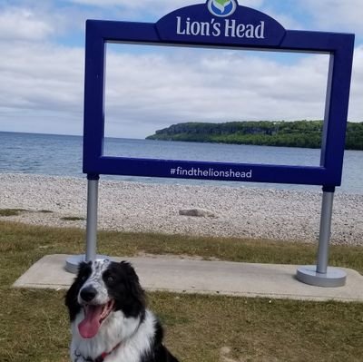 Farm kid from Bruce County.  AI tech with Eastgen and I help with my family's Ayrshire herd.  Love dogs like my border collie and like to travel occasionally.