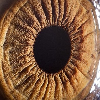 zjalarre's profile picture. An interested observer.