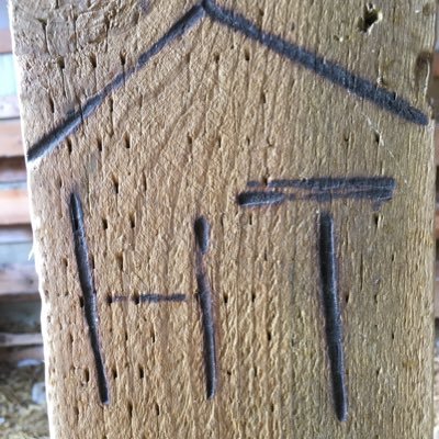 Thorranching's profile picture. 