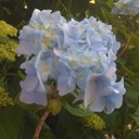 Lee Shook - @Leeleeeeleel - Twitter