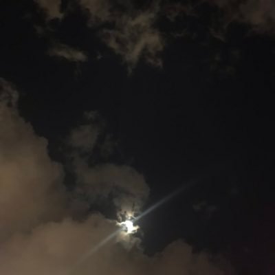 lexi_pan's profile picture. 