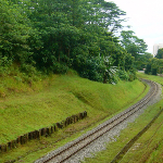 greencorridorsg's profile picture. Support The Green Corridor: A Proposal to Keep the Railway Lands as a Continous Green Corridor, by Nature Society (Singapore).