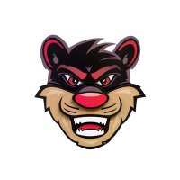Bearcats Nation (@gobearcatsuc) 's Twitter Profile