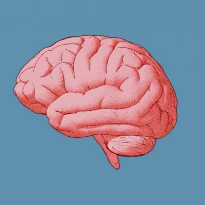 studybetter2's profile picture. 