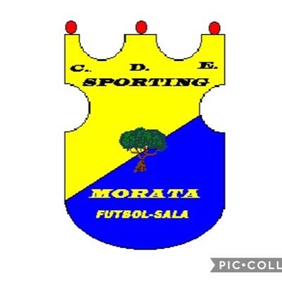 Club de Preferente Madrileña de Futbol Sala Morata de Tajuña (Madrid) cdesportingmorata@gmail.com