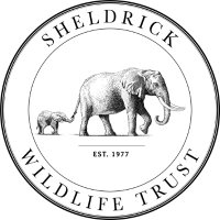 Sheldrick Wildlife Trust(@SheldrickTrust) 's Twitter Profile Photo