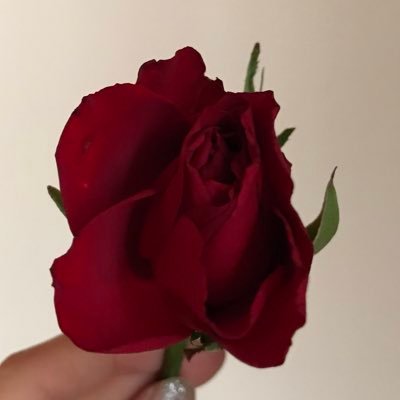 chocoさんのプロフィール画像