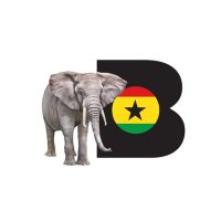 Best Ghana Tours(@bestghanatours) 's Twitter Profile Photo