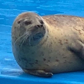 eleanorgoround's profile picture. 