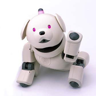 shirone