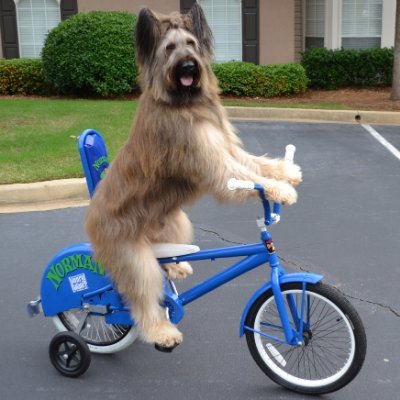 Former urban geography grad student. Cyclist. Dog.