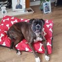 Judith Yates - @yatesjudith71 - Twitter